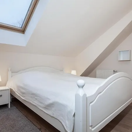 Papillon 05-8 * 博尔滕哈根